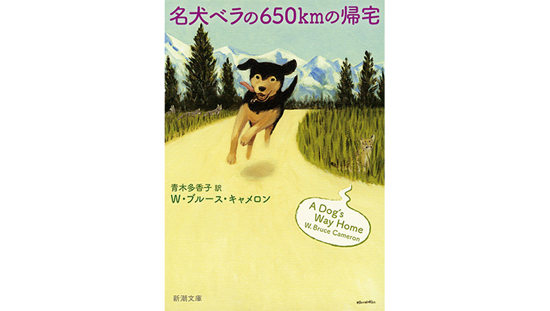 犬の帰巣本能を描いた小説に胸が熱くなる−−『名犬ベラの650kmの帰宅』