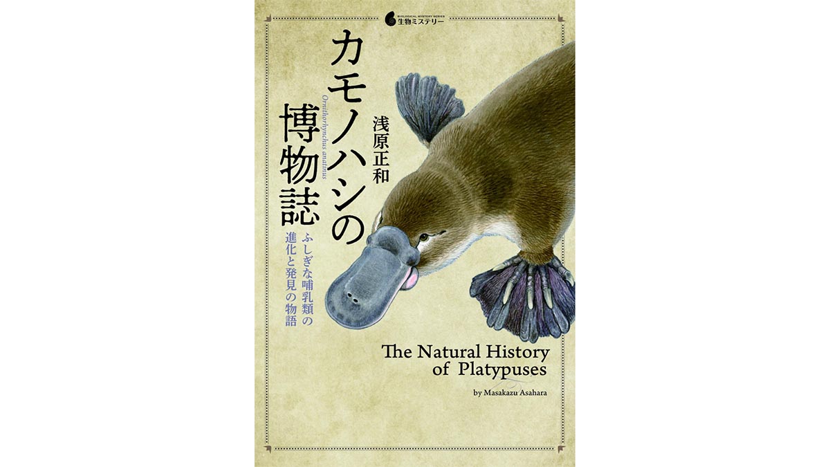 日本初のカモノハシ専門書で正しい捕まえ方を学んでみる