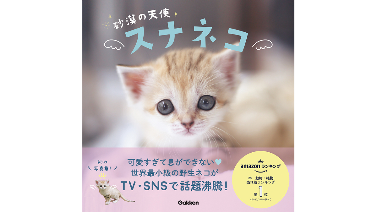 可愛すぎて息ができない! 『砂漠の天使 スナネコ』に身も心も癒やされまくり!!