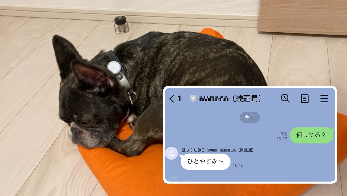 ペットとLINEできる！ NECがペット向けプラットフォーム「waneco」を提供開始