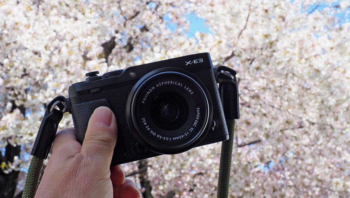 プロ写真家が教える“標準ズーム”で実践できる「とっておきの桜の撮り方」