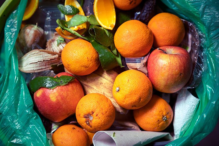 実は日本の対策は進んでいる!?「食品ロス(フードロス)」の実態と私たちができること