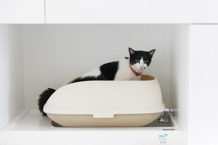 猫のトイレの臭い・処理・健康チェックが全部解決！業界初の猫専用ユニットバス「ネコレット」を徹底解説