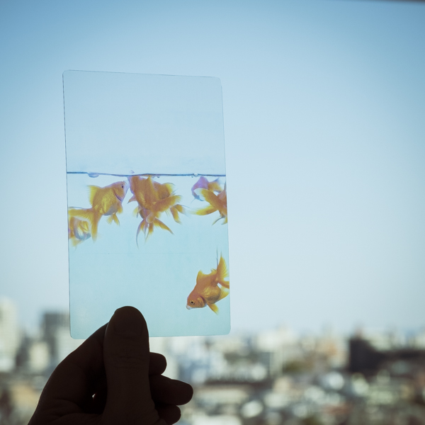 読書体験にのめり込めるための「金魚の栞」が味わい深い【愛用品コラム45】