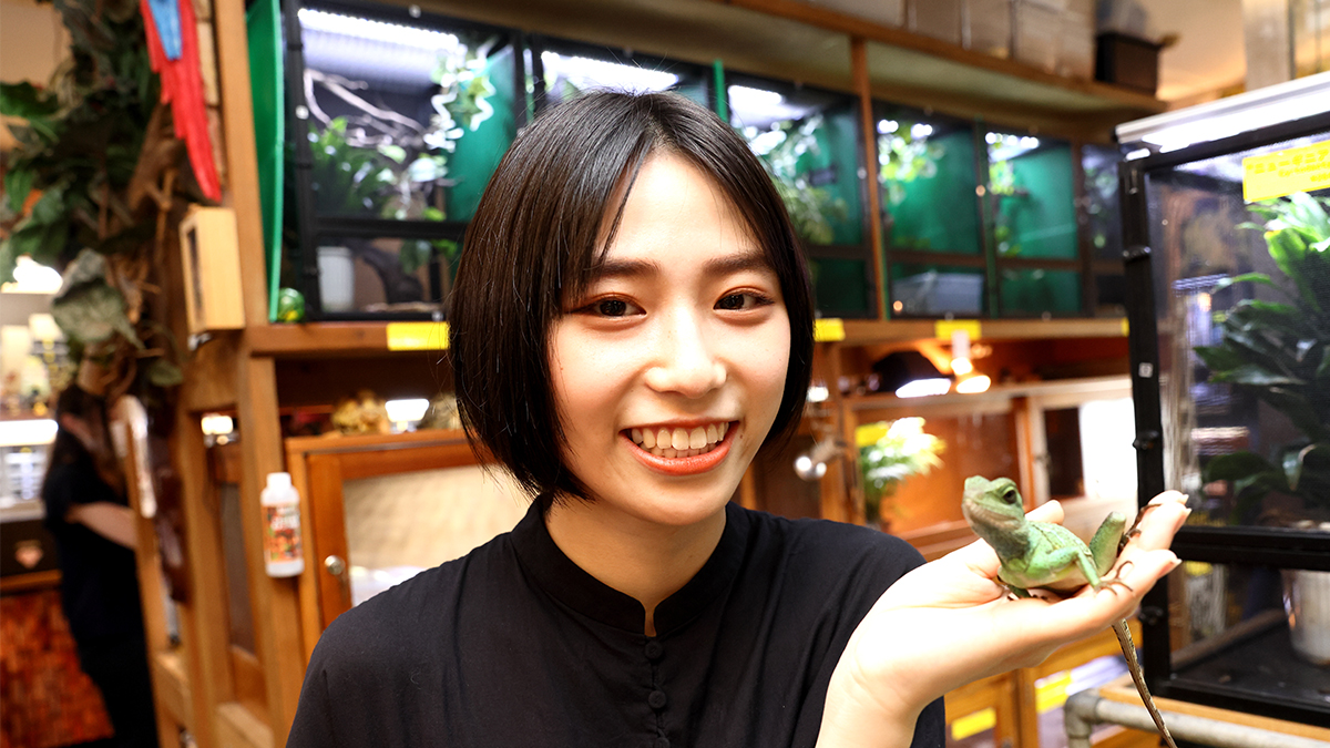 アンジュルム橋迫鈴が爬虫類に癒される！「いつかコモドドラゴンを触ってみたい」