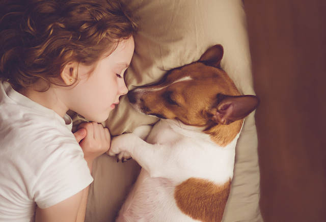ペットと一緒に寝ると睡眠の質は上がる？ カナダの大学が調査