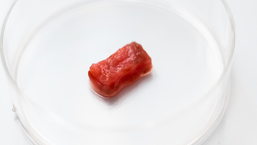 創業者・安藤百福氏の精神にも繋がる日清食品グループ「培養ステーキ肉」の開発