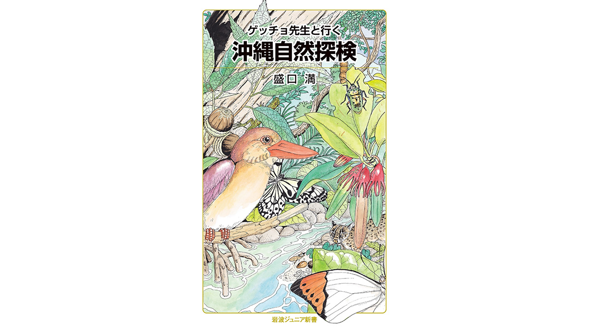 沖縄の魚「ダルマ」は食べても観察しても良し!?　生物学×旅行ガイドで沖縄探検～注目の新書紹介～