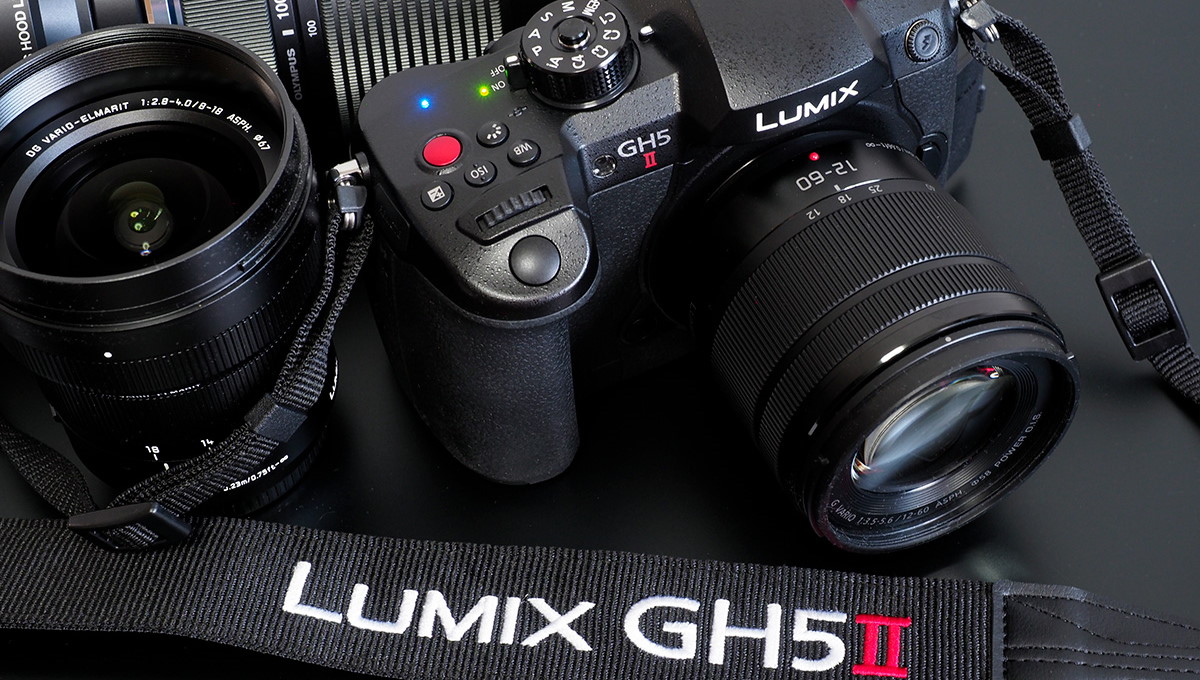 パナソニック「LUMIX GH5M2」実写レビュー！ 野鳥撮影も手ごろなもんでした