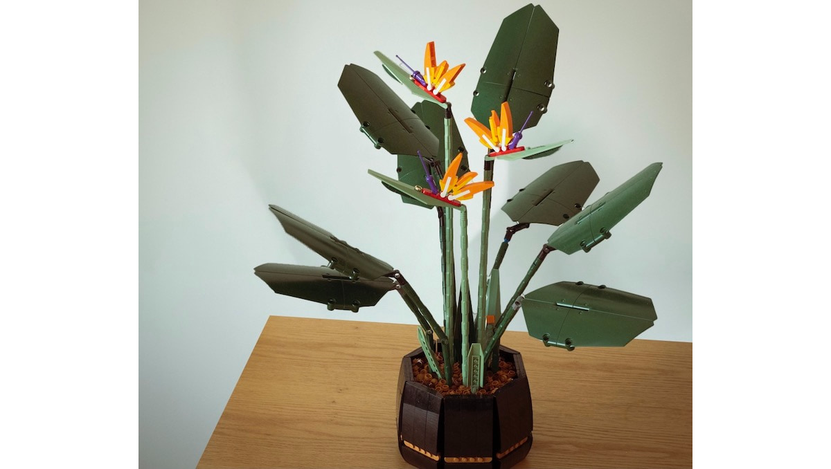 「レゴの観葉植物」を部屋に置いたらとても良かった。季節の移ろいは感じにくいけど、時間の流れは感じる【愛用品コラム84】