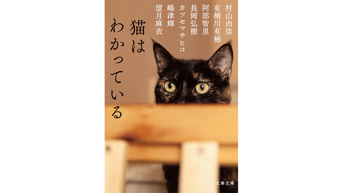 7人の作家による7匹の猫の物語にハマる——『猫はわかっている』