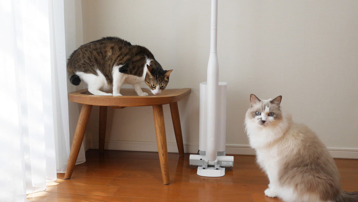 ペットオーナーに喜んでもらおう！「からまないブラシ」搭載の最新クリーナーをモッフモフの猫ちゃん宅にお届けしたら