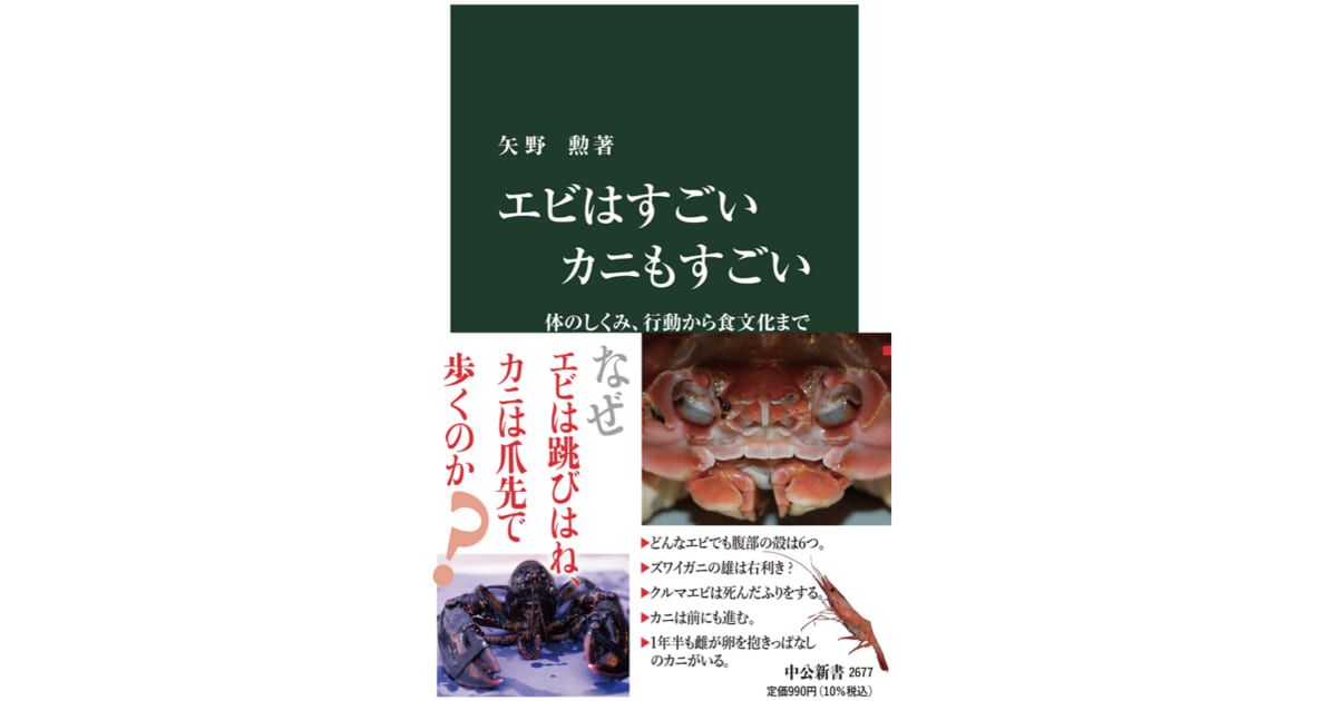 エビがプリプリ食感で美味しいのはなぜ？ エビとカニはこんなにもすごかった！～注目の新書紹介～