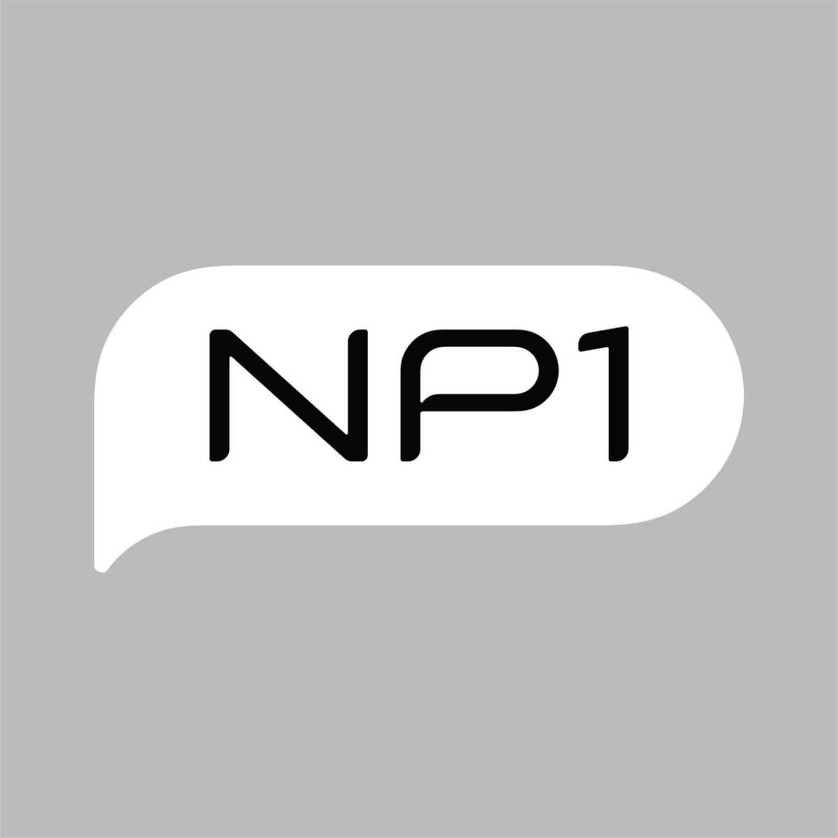 パイオニアが新たに放つ“会話するドライブパートナー”「NP1」って何だ？　