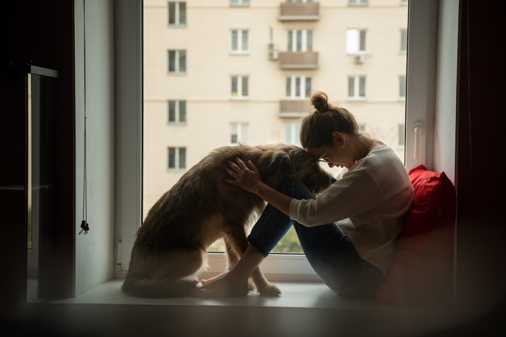 つらい気持ちは同じ。犬も仲間の死を悲しむことが判明