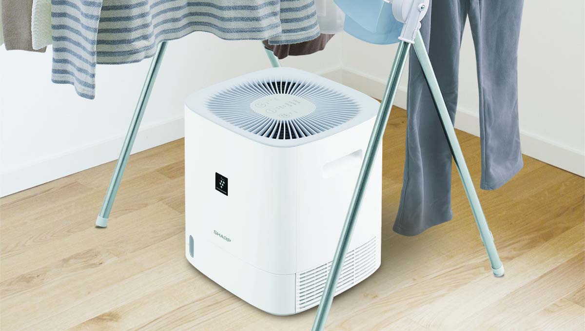 「通年部屋干し派」の救世主となるか？ シャープが「膝下サイズの除湿機」投入で「ラック下」の市場に参入！