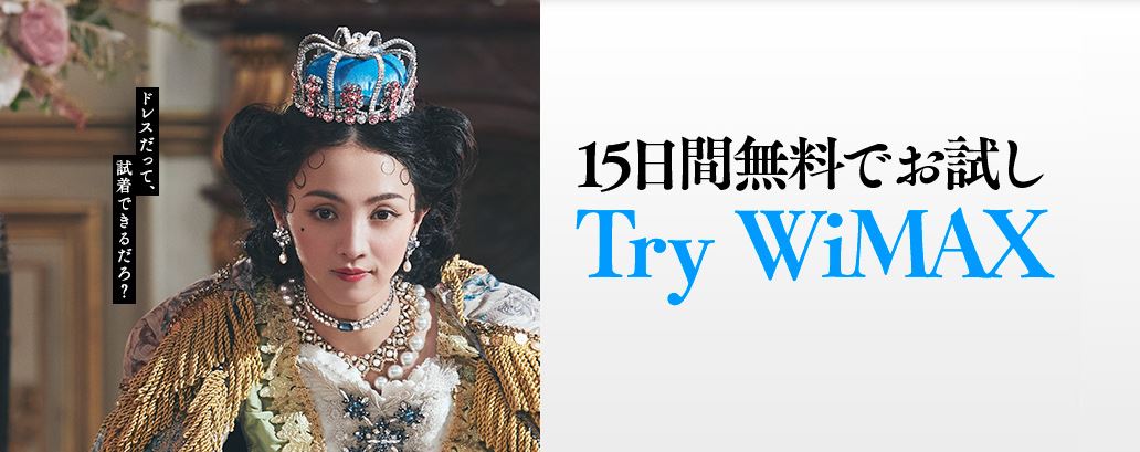 Try WiMAX