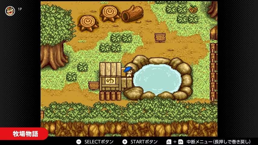 牧場物語
