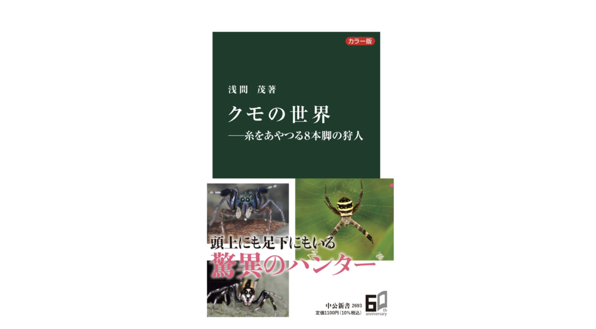 親のすねかじりが過ぎる!? 日本有数の毒グモの哀しい生態とは？～注目の新書紹介～
