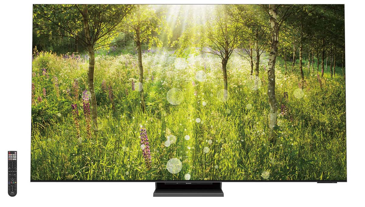 明るいリビングでも色鮮やか、シャープ8K液晶テレビがオススメ