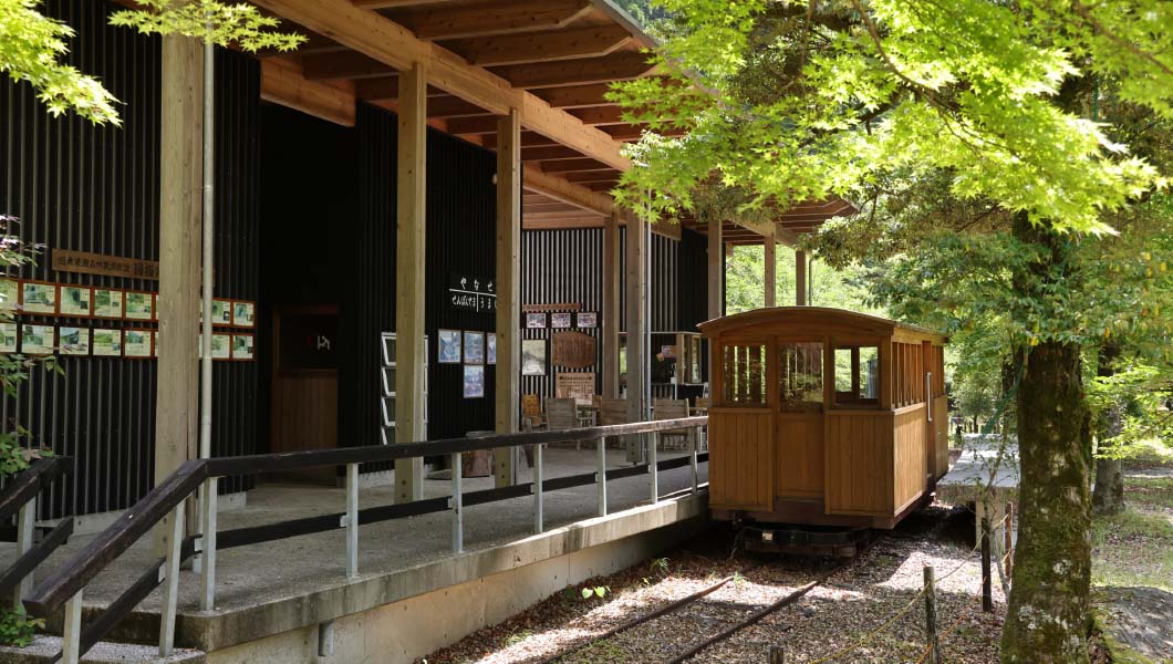 高知の山中を巡った「森林鉄道」その栄光の足跡を追う