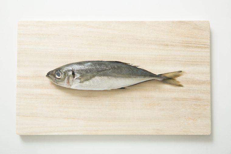 プロが解説！ 初心者が三徳包丁でできる「アジ」のおろし方と「アジのムニエル」レシピ
