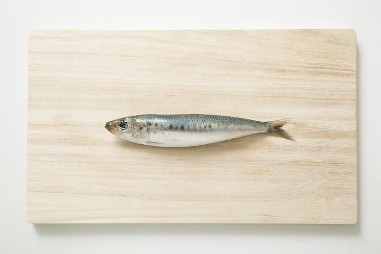 プロが解説！ 初心者が三徳包丁でできる「イワシ」のおろし方と「イワシの蒲焼」レシピ