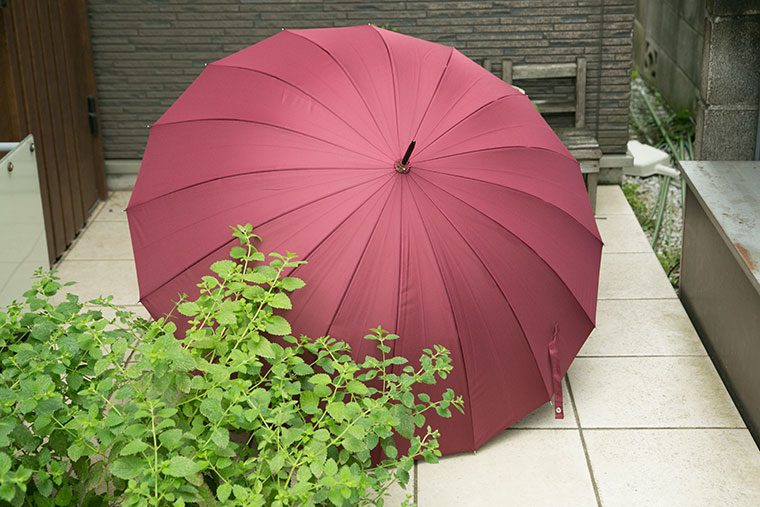 雨の後は？ 撥水効果が落ちたら？「傘」を長持ちさせる手入れと使い方