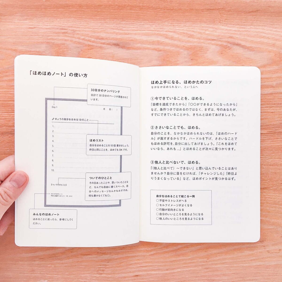 プロが唸ったオンリーワンでヤバい文房具！ GOOD＆SHARE  ほめほめノート