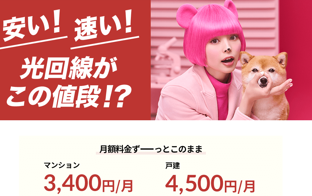 So-net光 minico
