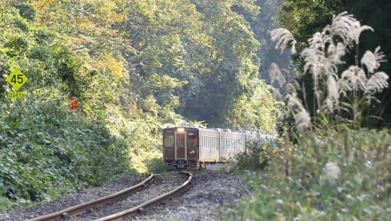 11年ぶり全区間で運転再開！「只見線」各駅の「喜びの声」と「興味深い変化」をレポート