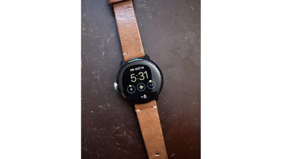 Pixel Watch、普通の時計ベルトも装着できるみたい