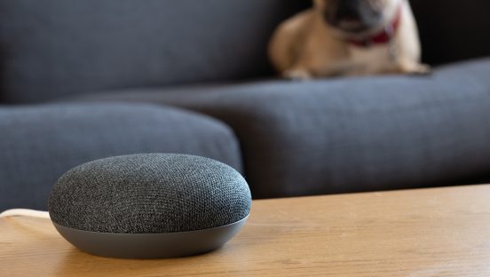 グーグルのスマートスピーカーにも独自OS「Fuchsia」がやってくる？