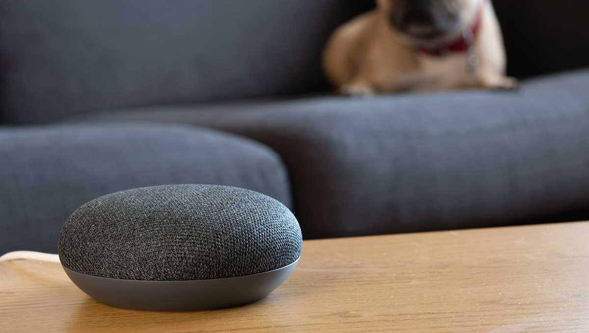 グーグルのスマートスピーカーにも独自OS「Fuchsia」がやってくる？