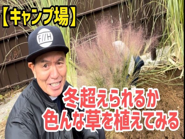 ヒロミさんのキャンプ場は今!? 開拓中の土地に新たな植物を植えてみた！