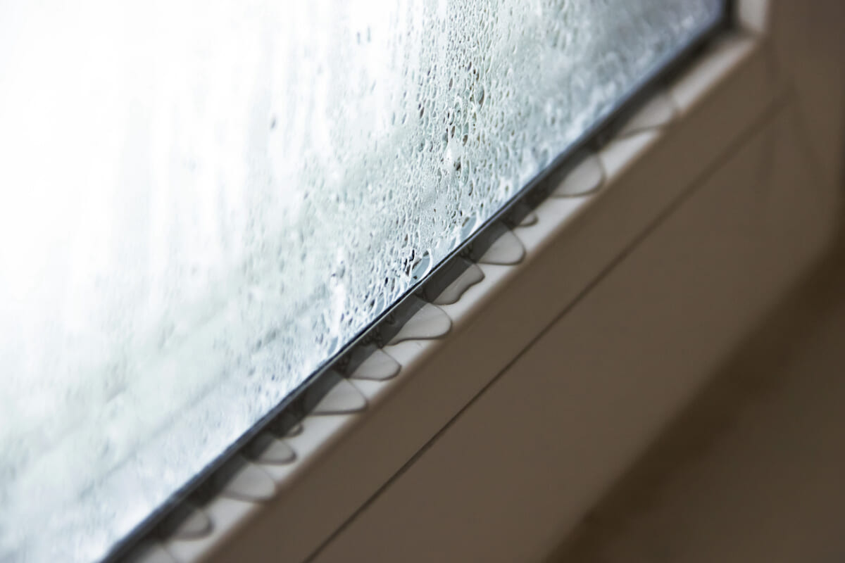 窓だけじゃない！ 冬も梅雨にも発生する「結露」の原因と家事のプロが教える徹底カビ対策