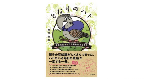 埼玉県のマスコット「コバトン」は天然記念物って知ってた？−−『となりのハト 身近な生きものの知られざる世界』