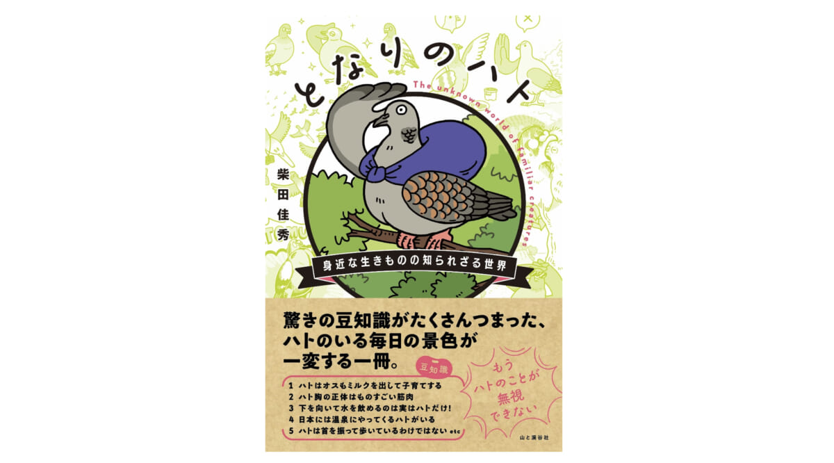 埼玉県のマスコット「コバトン」は天然記念物って知ってた？−−『となりのハト 身近な生きものの知られざる世界』
