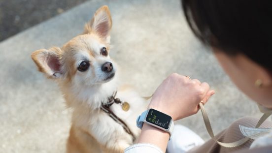 60分の充電で最長14日間駆動！ 5分間の充電で24時間使える急速充電も搭載した「OPPO Band 2」