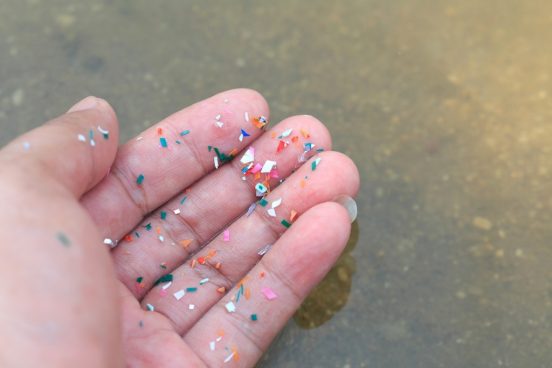 わずか6年間で「マイクロプラスチック」の量が100倍以上増加！ 英大学の研究