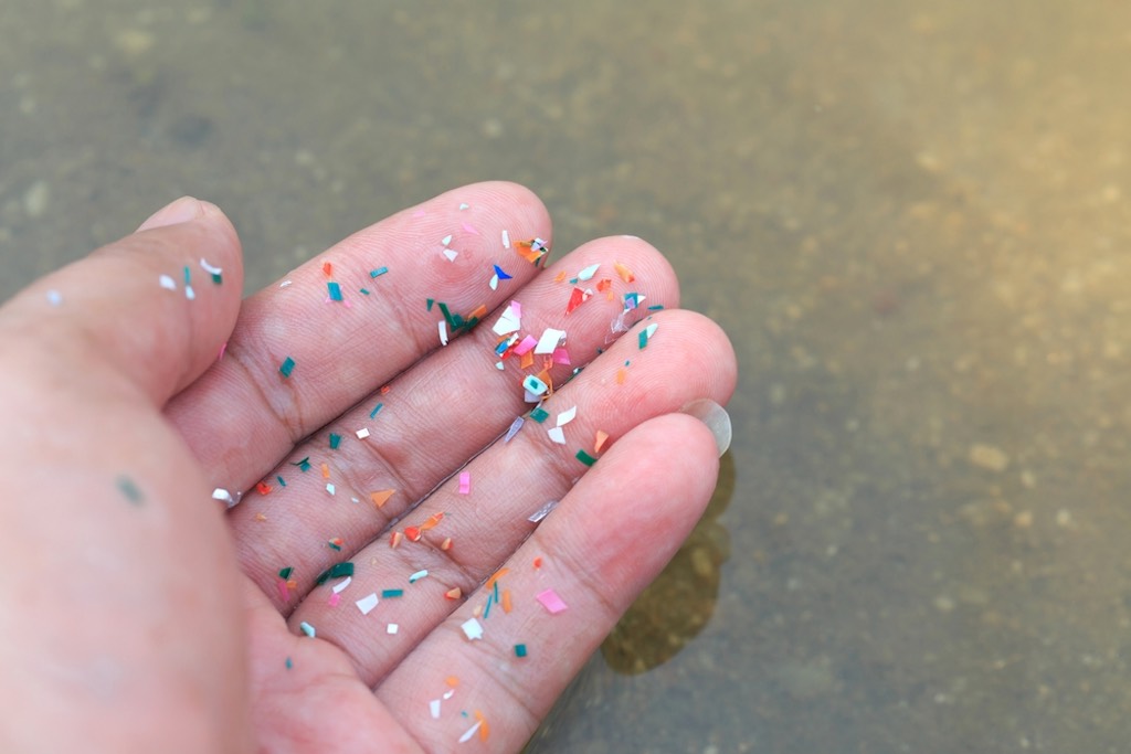 わずか6年間で「マイクロプラスチック」の量が100倍以上増加！ 英大学の研究