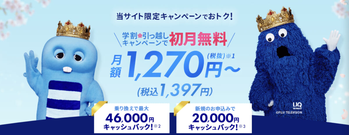 Broad WiMAX