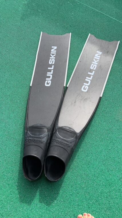 GULL-SKIN