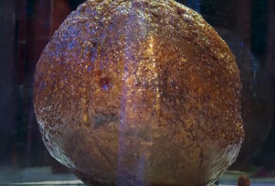 ゲノムデータでマンモスの「培養肉」を開発！ 巨大ミートボールが豪で誕生