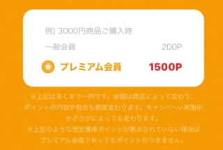 let-photo3