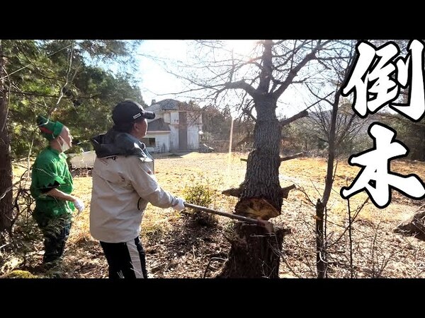 まさかのノコギリ一本!? 芸人・村上ショージさんの人力倒木チャレンジ動画がすごすぎる
