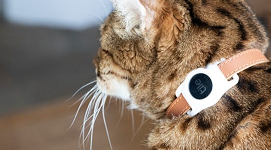 愛猫用トラッカー「Tile for Cats」が米国で発売。音声コマンドでも探せるニャン