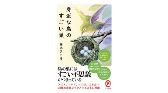スズメの巣ってどこにある？ 鳥の巣研究家が教える、鳥の巣の神秘的な秘密～注目の新書紹介～