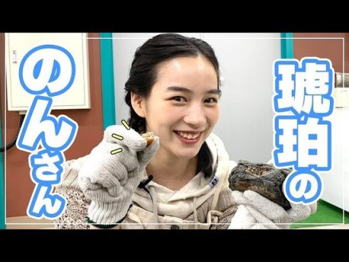 癒やされる視聴者続出！ のんさんが「あまちゃん」の舞台・岩手県で琥珀の発掘体験にチャレンジ