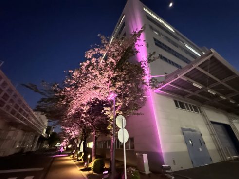 285台のLED投光器を1台のPCで一括制御。街演出クラウド「YOI-en」を体験できるフィールドが門真に登場